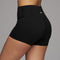 002 Pursuit Under Shorts